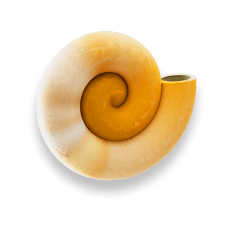 sea-shell icon